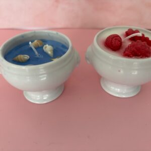 Blue and White Sea Shells