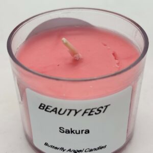 BEAUTY FEST