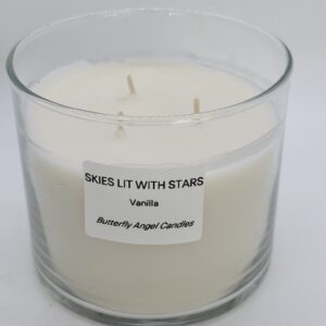 SKIES LIT WITH STARS